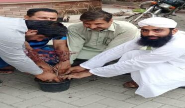 دعوت اسلامی کوٹلی لوہاراں کے زیر اہتمام شجر کاری مہم کا آغاز تھانہ کوٹلی لوہاراں میں پودا لگا کر کیا گیا