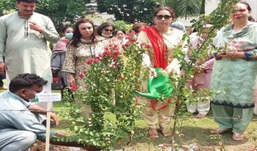 Trees are very important for human life. Trees not only make the environment clean and beautiful but also provide us with oxygen. Prof. Dr. Bushra Mirza