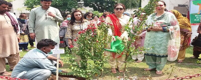 Trees are very important for human life. Trees not only make the environment clean and beautiful but also provide us with oxygen. Prof. Dr. Bushra Mirza