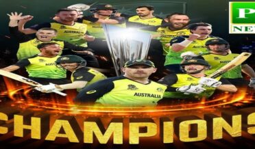 Australia beat New Zealand by 8 wickets to become new T20 cricket championsAustralia beat New Zealand by 8 wickets to become new T20 cricket champions