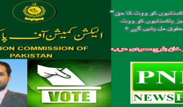 Overseas Pakistanis have the right to vote