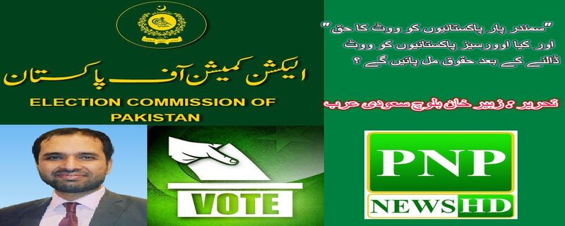 Overseas Pakistanis have the right to vote