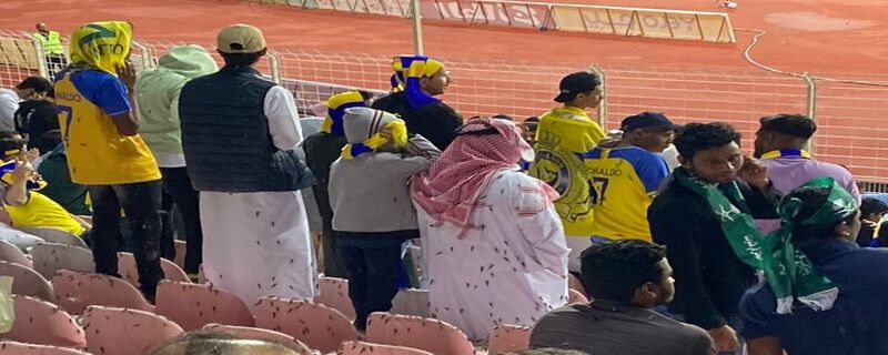 locust attack in Makkah's football stadium