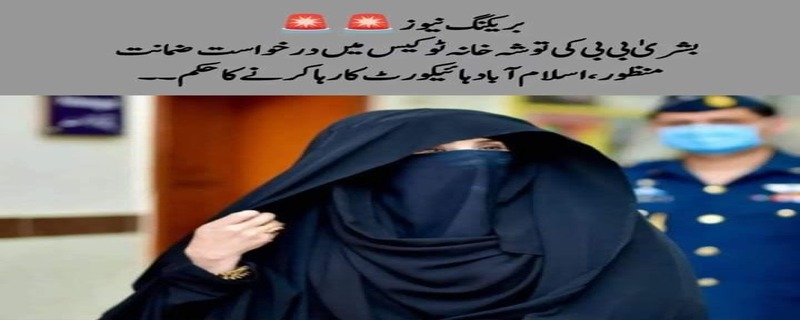 اسلام آباد ہائیکورٹ نے توشہ خانہ کیس میں بشریٰ بی بی کی درخواست ضمانت منظور